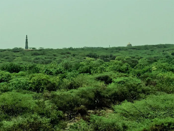 Sanjay Van - 0