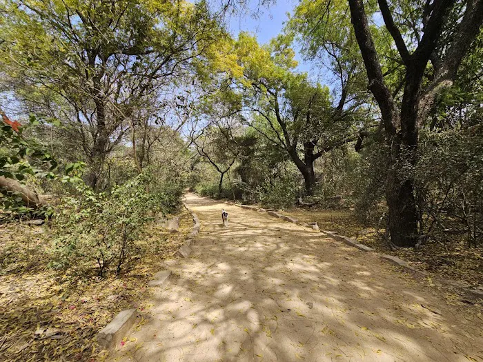 Sanjay Van - 1