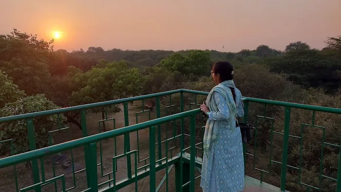 Sanjay Van - 5