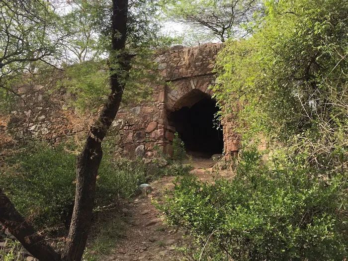 Sanjay Van - 8