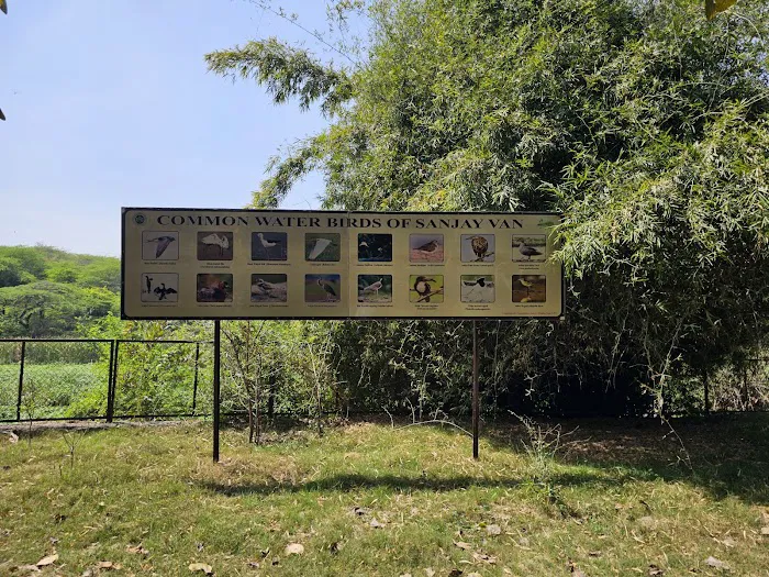 Sanjay Van - 6