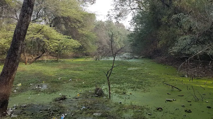 Baranwal Taal (BARAN TAAL) - 0