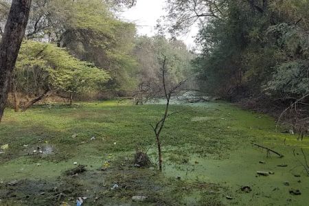 Baranwal Taal (BARAN TAAL)