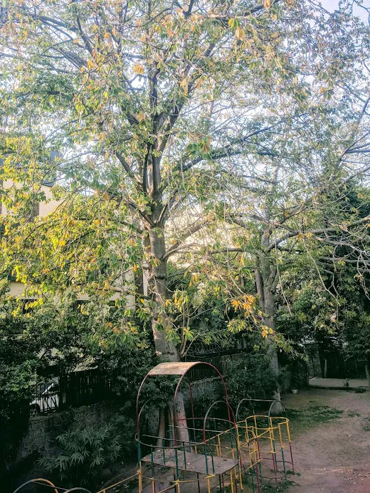 Hindi Park - 3