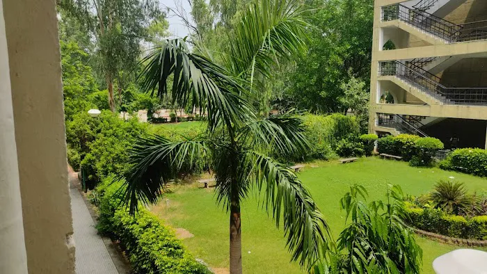 Faculty of Engineering Lawn - 0
