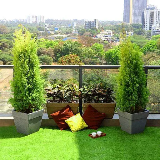 Tatraxash Garden - 0