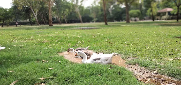 EID GAH HAUZ RANI PARK - 6