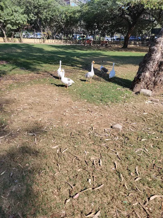 EID GAH HAUZ RANI PARK - 9