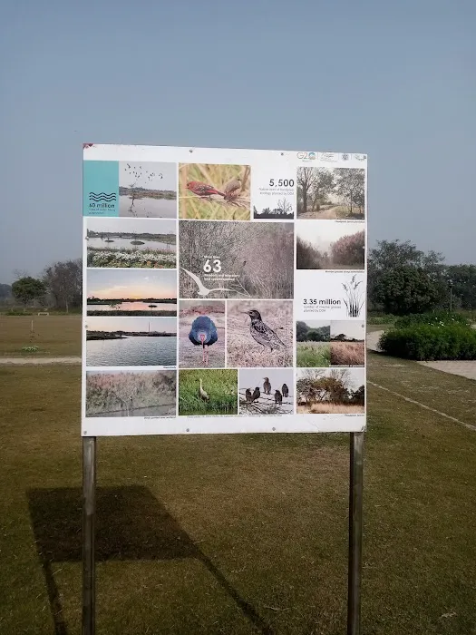 DDA Asita Park - Yamuna Riverfront Development - 8