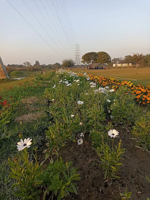 Asita East Park - 6