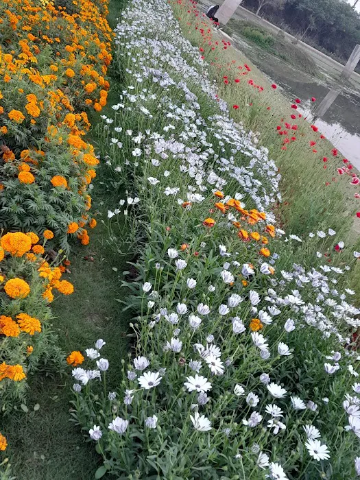 Asita East Park - 7