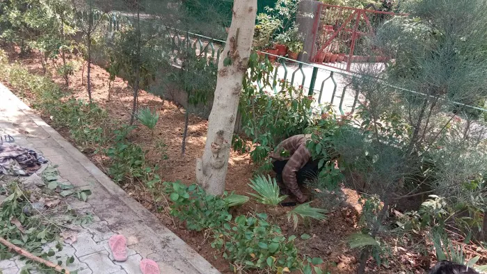 Yoga Park, R K Puram Sector 12 - 9