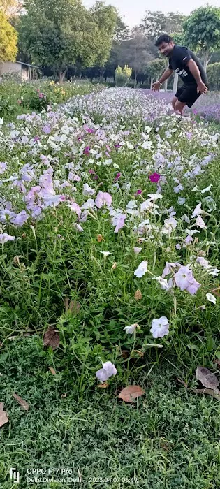 Shanti Path Field - 3