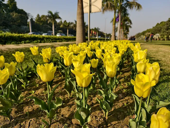 Shanti Path Field - 8