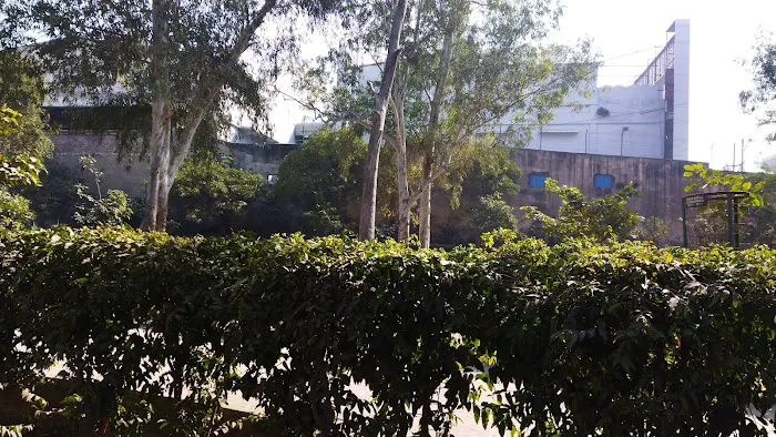 Noida park - 2
