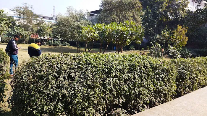 Noida park - 8