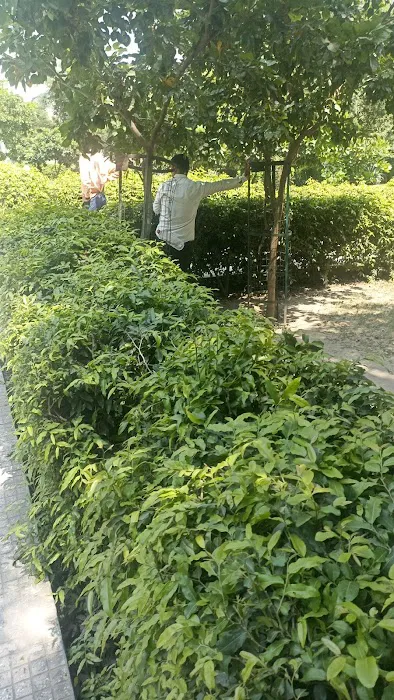 Noida park - 6