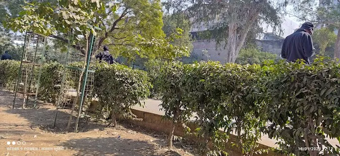 Noida park - 9