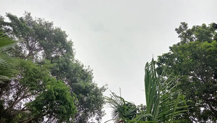 A Block Park - 1