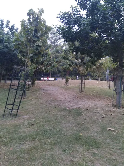 Children Park - 5