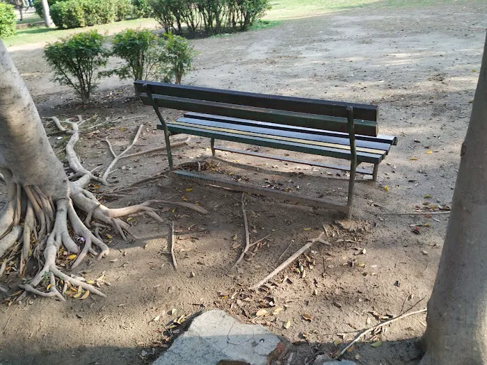 Sector 19 B and C Block Central Park - 6