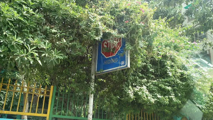 MCD Park - 1