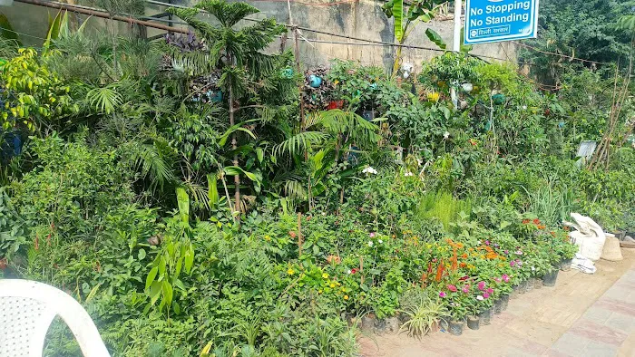 Kishore Nursery - 1