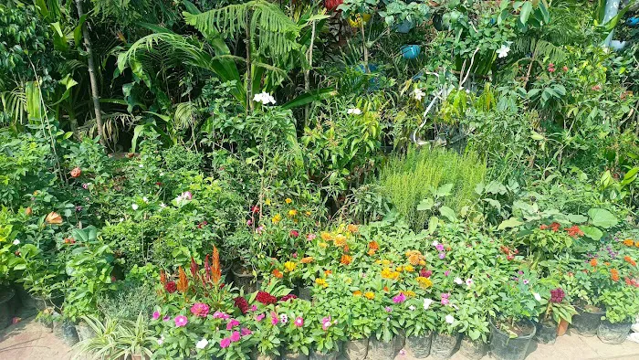 Kishore Nursery - 3