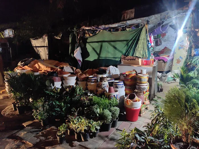 Kishore Nursery - 2