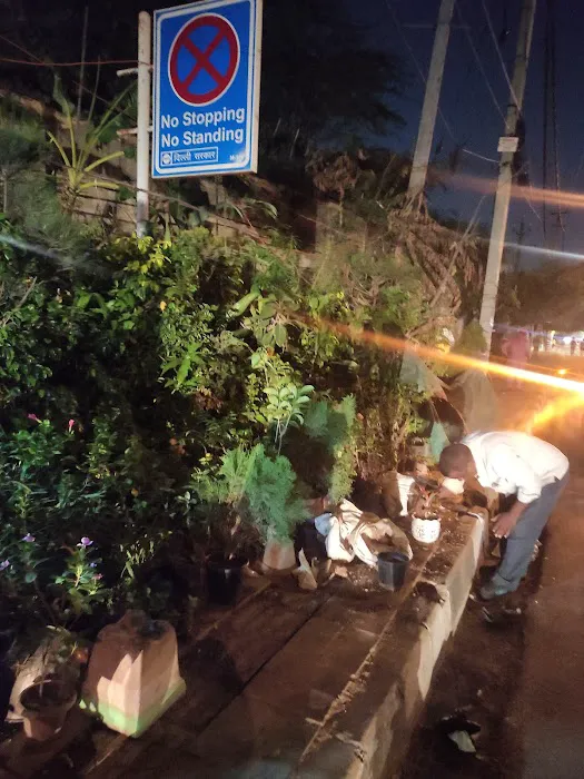 Kishore Nursery - 5