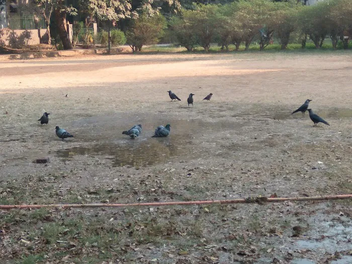 Community park - 2