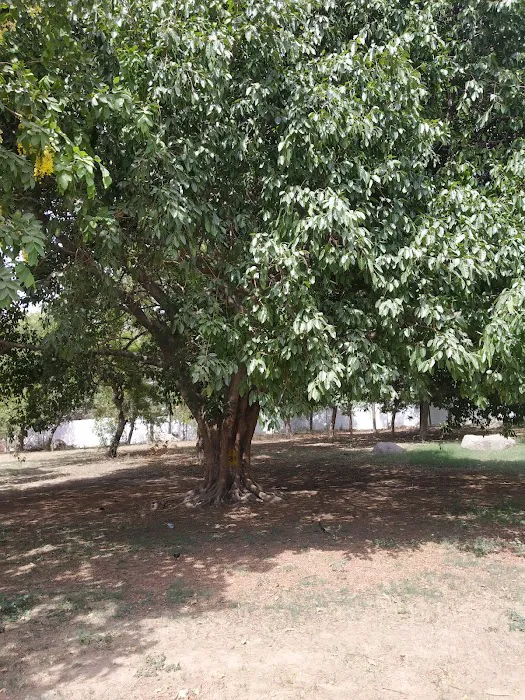 Samadhi Of Jawahar Lal Nehru - 7