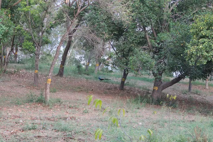 Sanjay Gandhi Memorial - 4