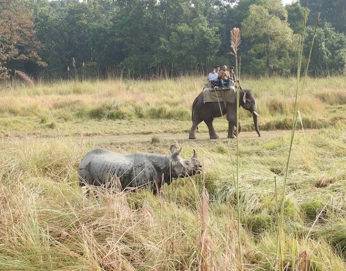 Wildlife Safari India - 1