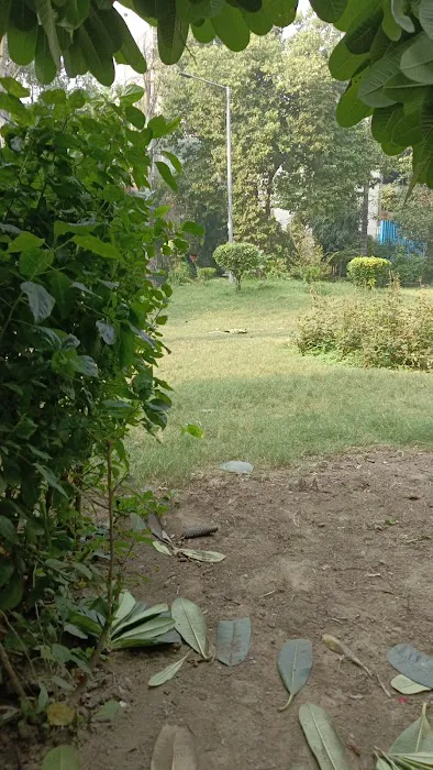 Swasthya Vihar Colony Park - 1