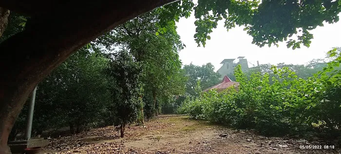 Swasthya Vihar Neighbourhood Park - 4