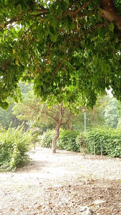 DDA Park - 0