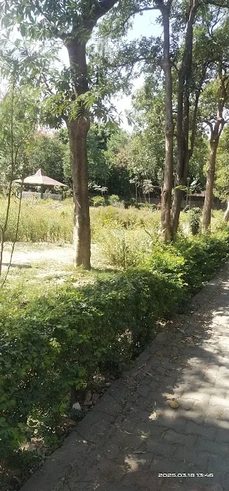 DDA Park - 3