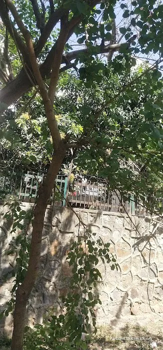 DDA Park - 5