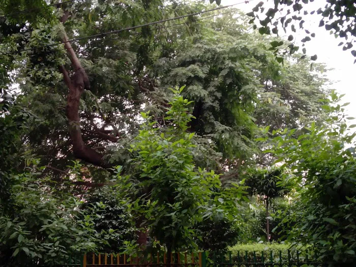 K-Block Park - 2