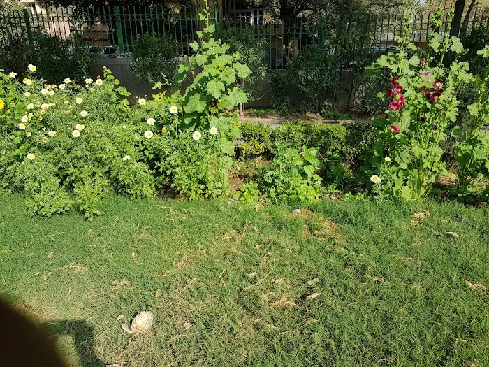J block Chittaranjan park - 1