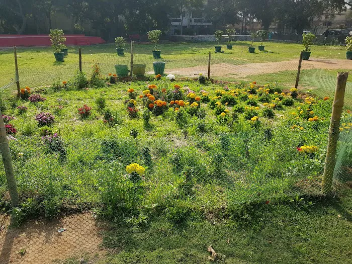 J block Chittaranjan park - 4