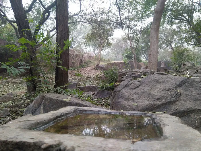 DDA Park Mehrauli - 3