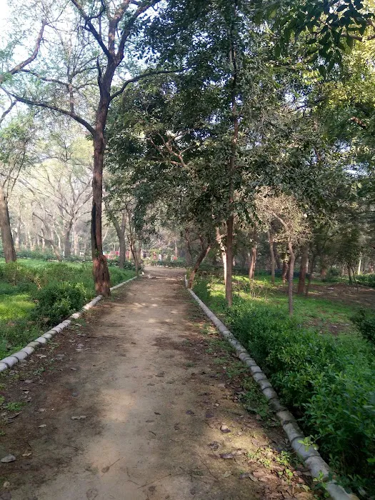 DDA Park Mehrauli - 5