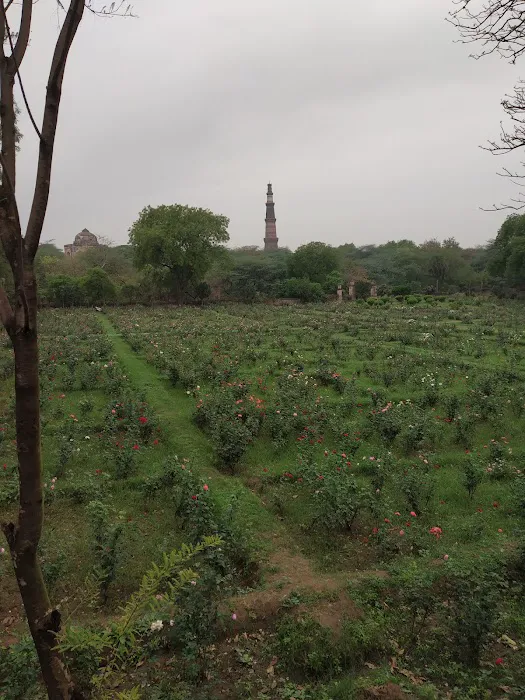 DDA Park Mehrauli - 9