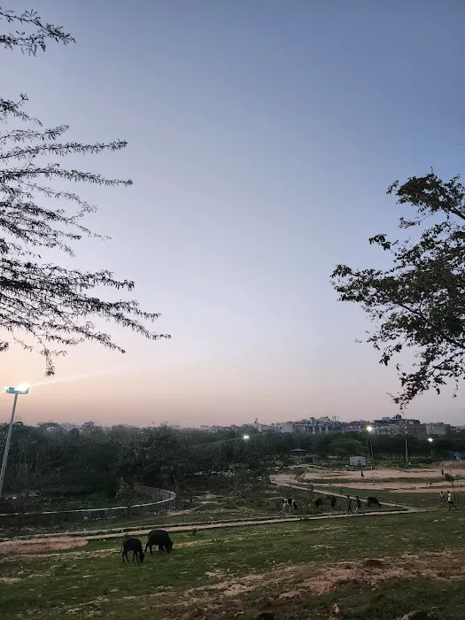 Machhli Park - 3