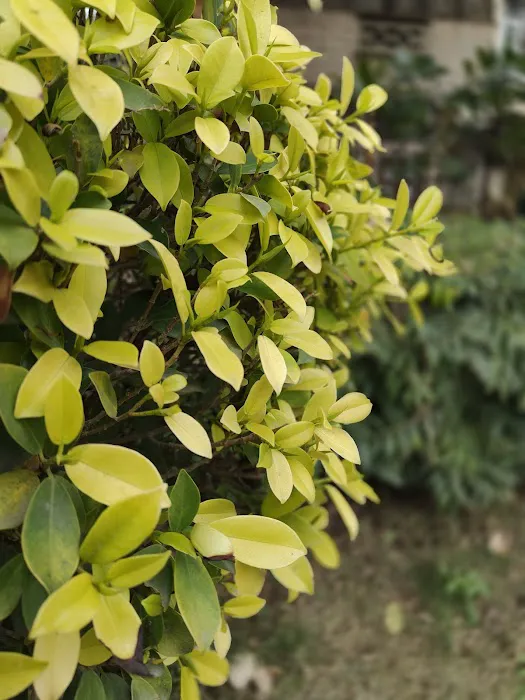 Khadda Park - 5