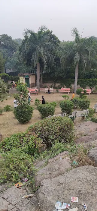 Rock Garden - 0