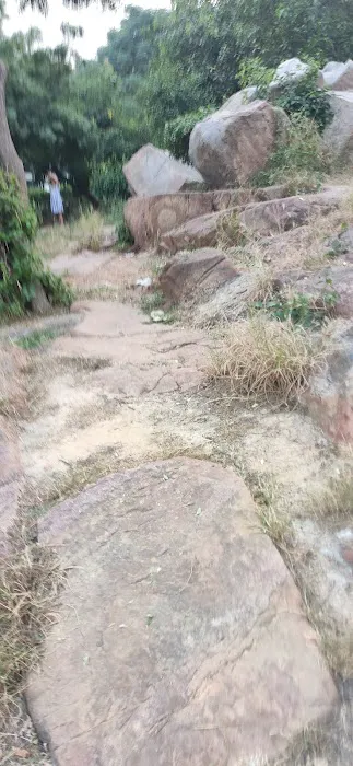Rock Garden - 3
