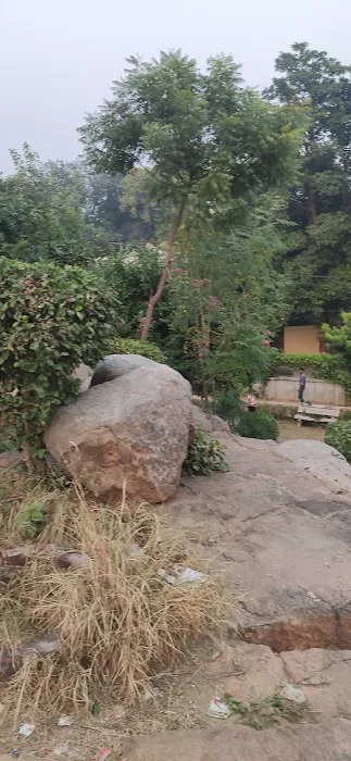 Rock Garden - 6